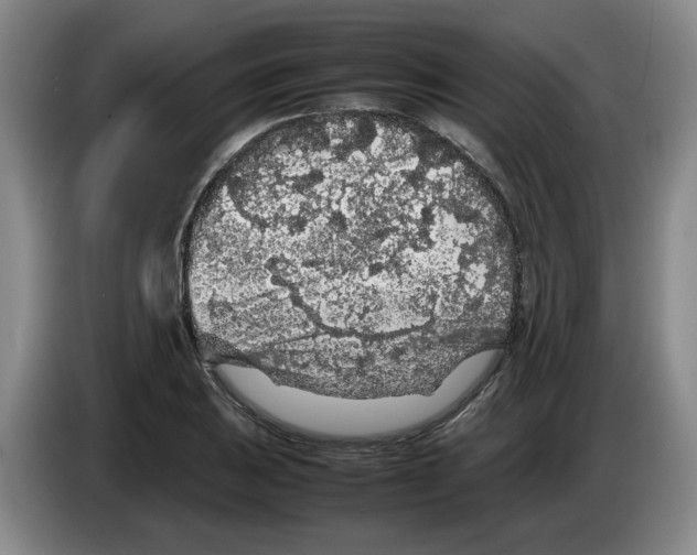 X0000083601031200703091737