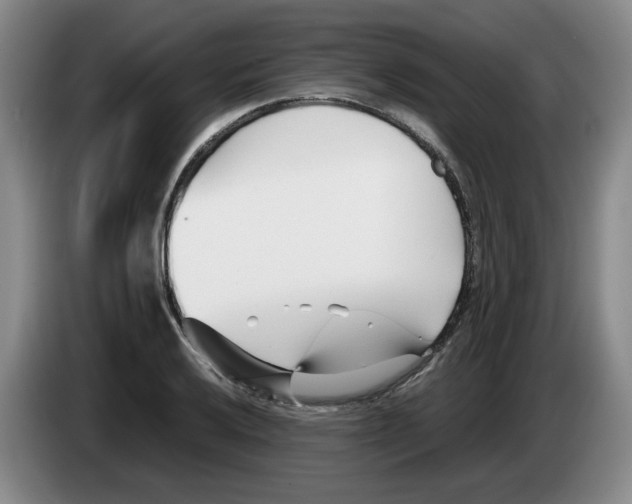 X0000083601032200703091737