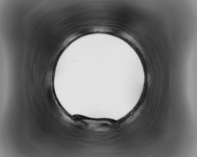 X0000083601033200703091737