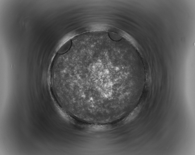 X0000083601034200703091737