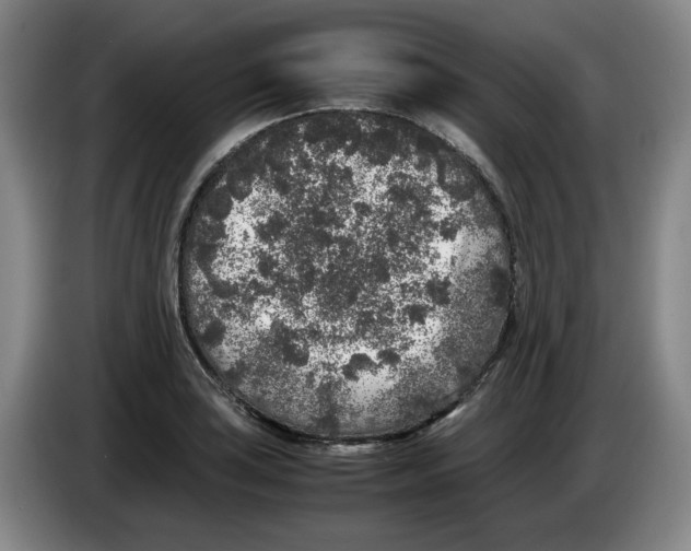 X0000083601035200703091737