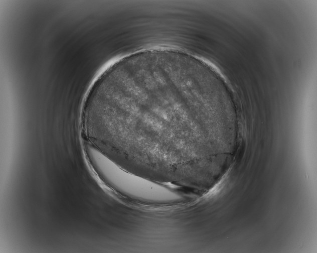 X0000083601038200703091737