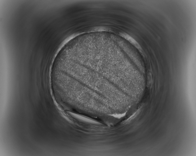 X0000083601039200703091737