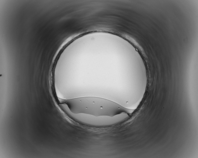 X0000083601040200703091737