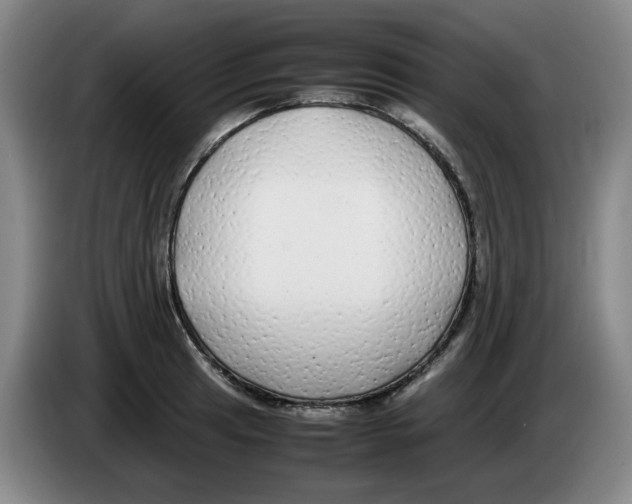 X0000083601041200703091737