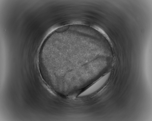 X0000083601043200703091737