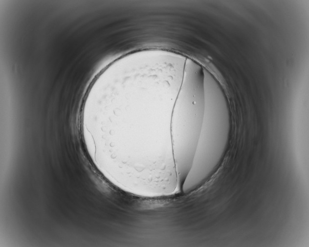 X0000083601044200703091737