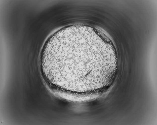 X0000083601045200703091737