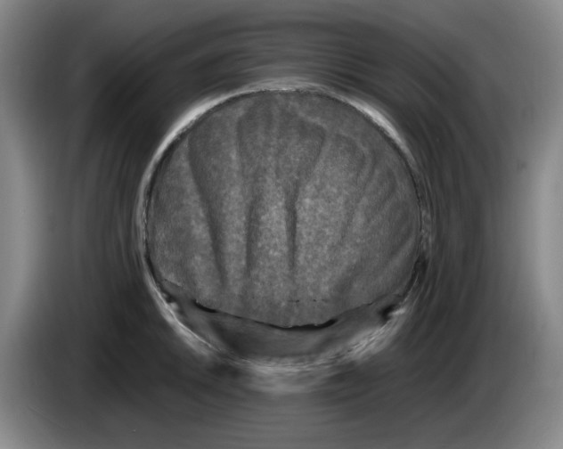 X0000083601046200703091737