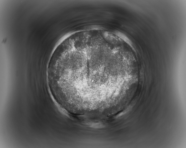 X0000083601047200703091737