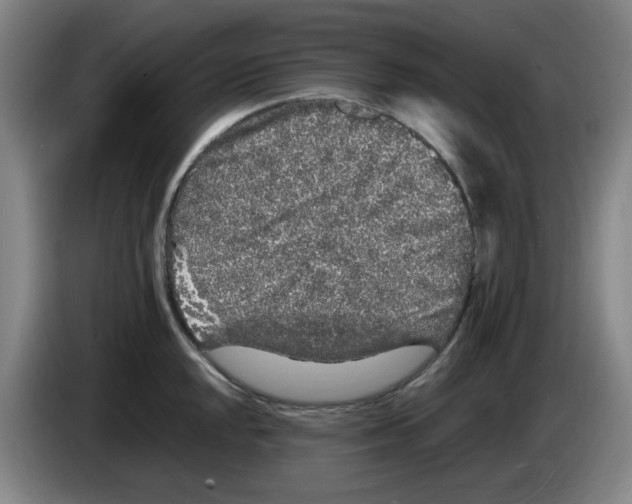 X0000083601048200703091737