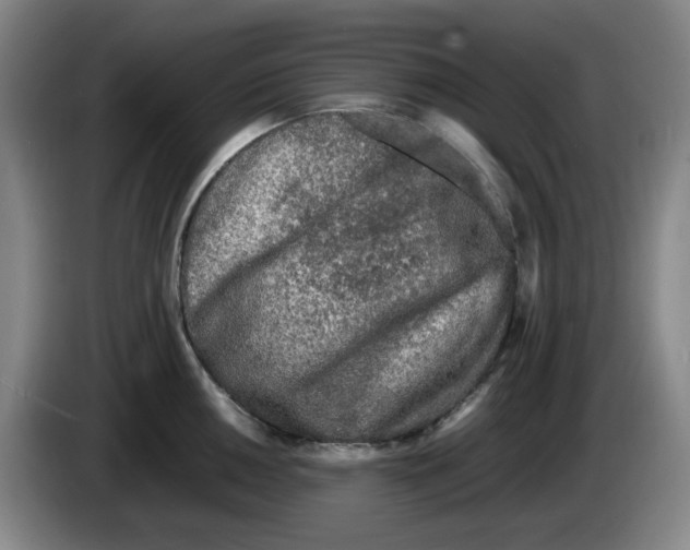 X0000083601050200703091737