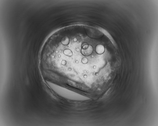 X0000083601051200703091737