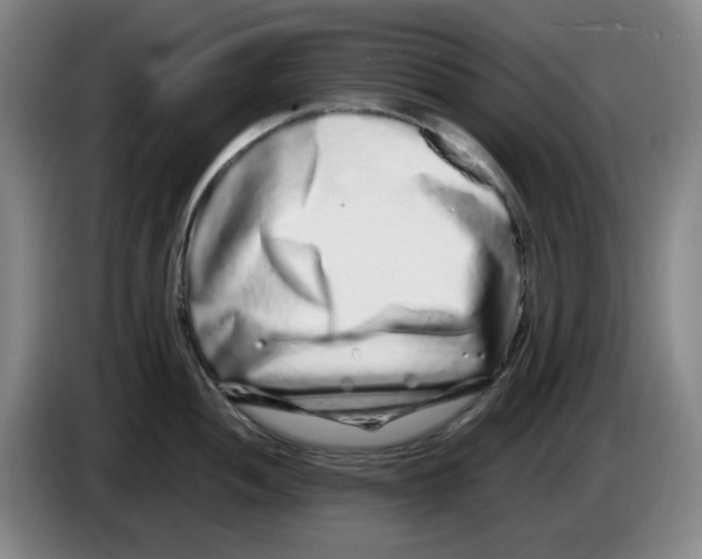 X0000083601052200703091737