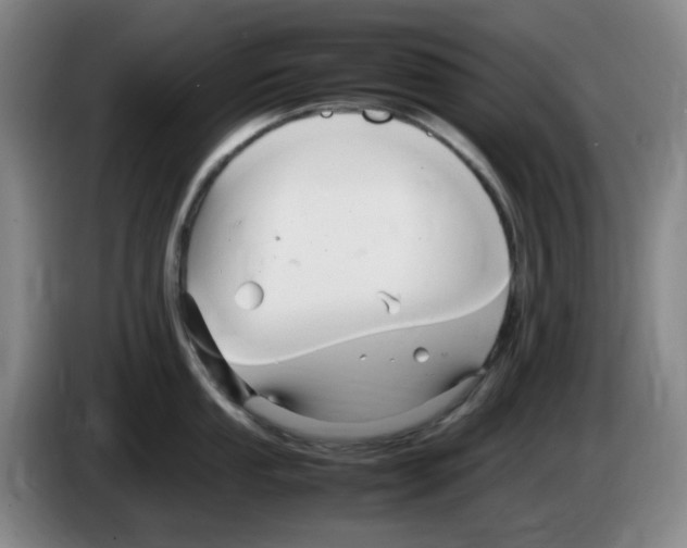 X0000083601053200703091737