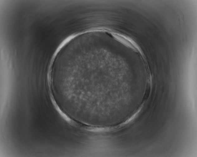 X0000083601054200703091737