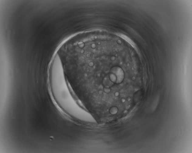 X0000083601055200703091737