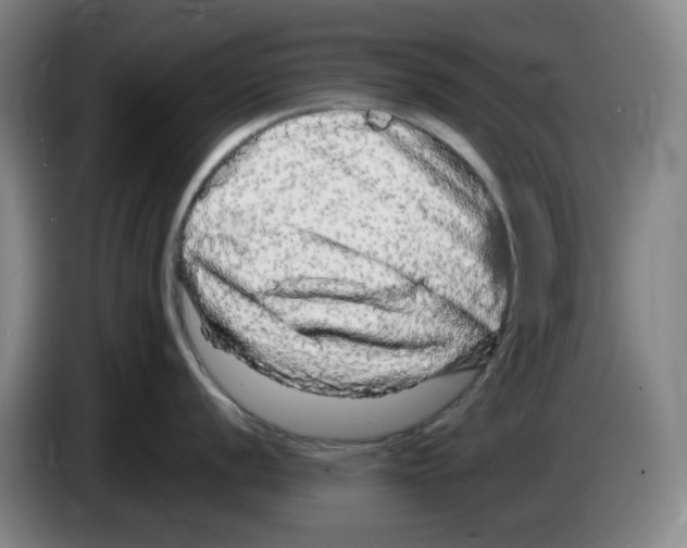 X0000083601056200703091737