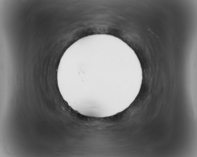 X0000083601057200703091736