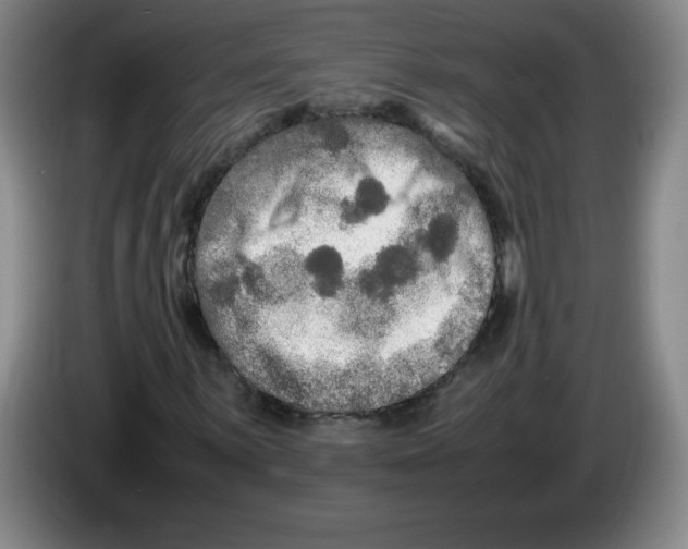 X0000083601059200703091736