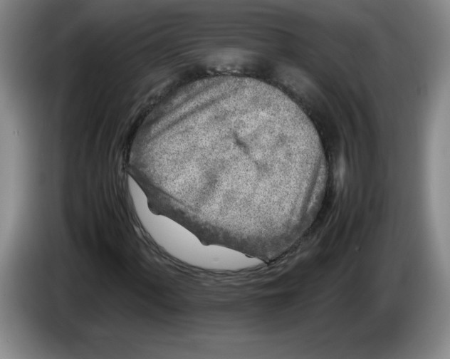 X0000083601060200703091736