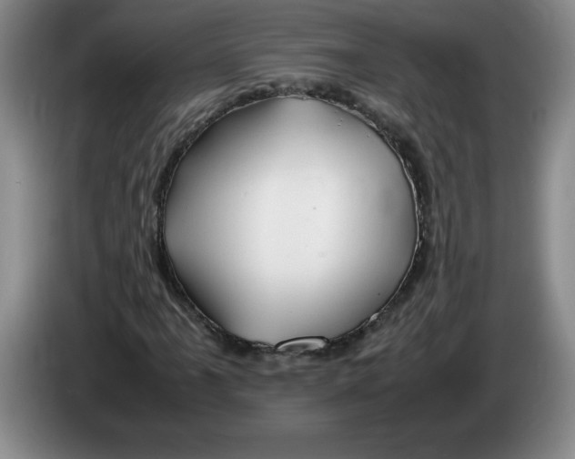 X0000083601061200703091736