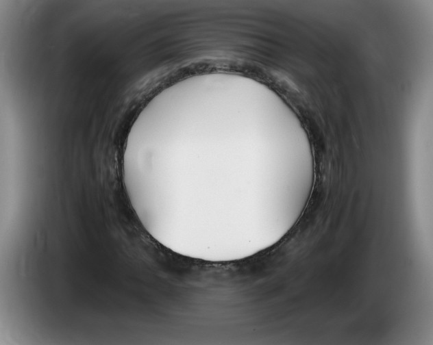 X0000083601062200703091736