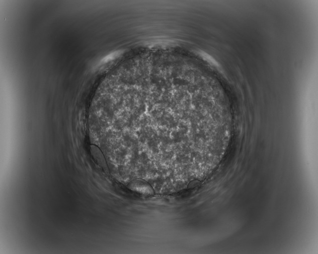 X0000083601063200703091736