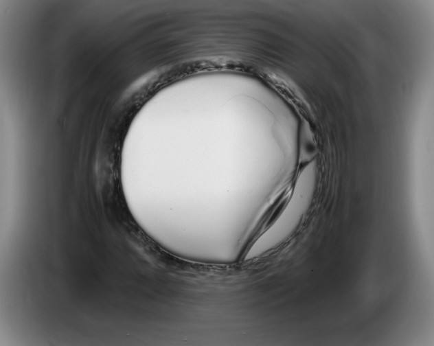 X0000083601064200703091736