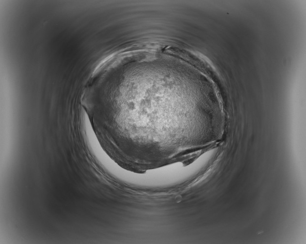 X0000083601065200703091736