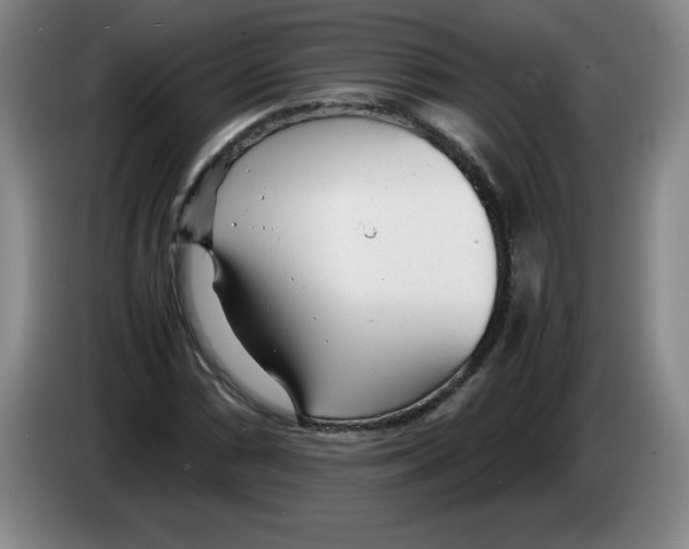 X0000083601066200703091736