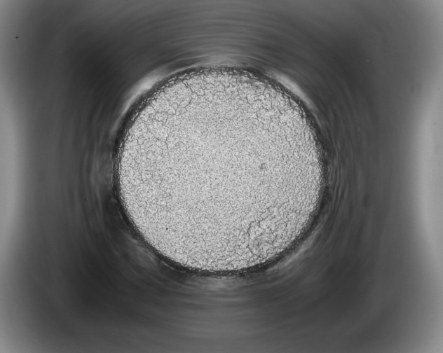 X0000083601067200703091736