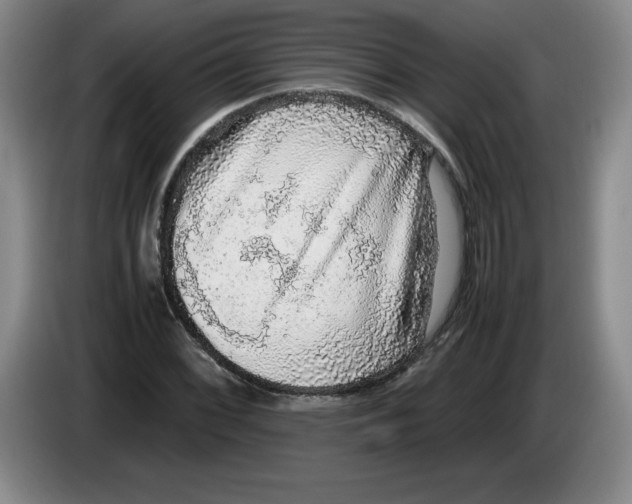 X0000083601068200703091736