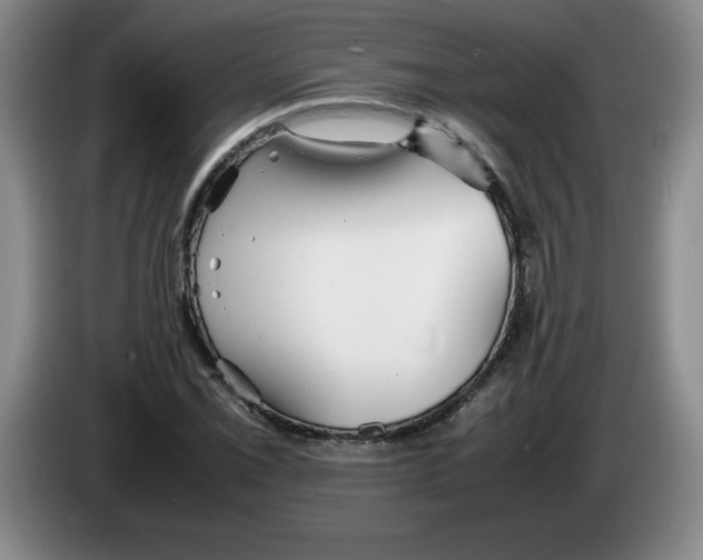 X0000083601069200703091736