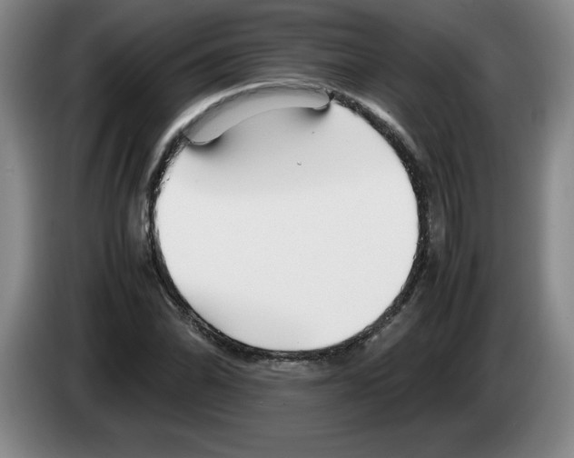 X0000083601070200703091736