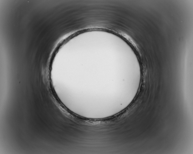 X0000083601072200703091736