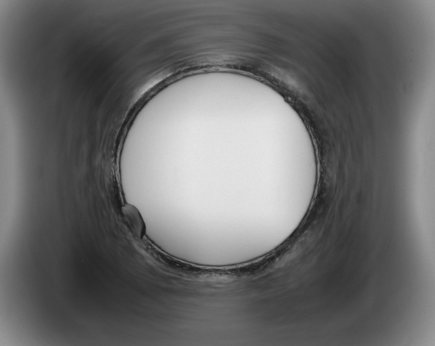 X0000083601073200703091736