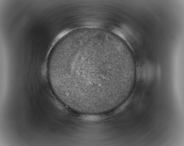 X0000083601074200703091736