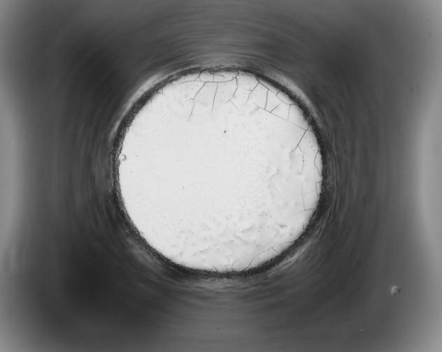 X0000083601075200703091736