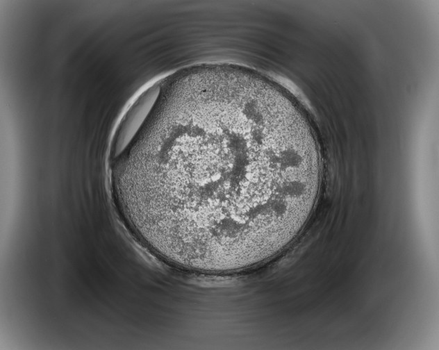 X0000083601076200703091736