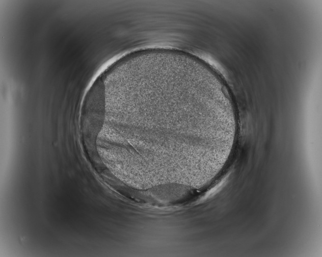 X0000083601077200703091736