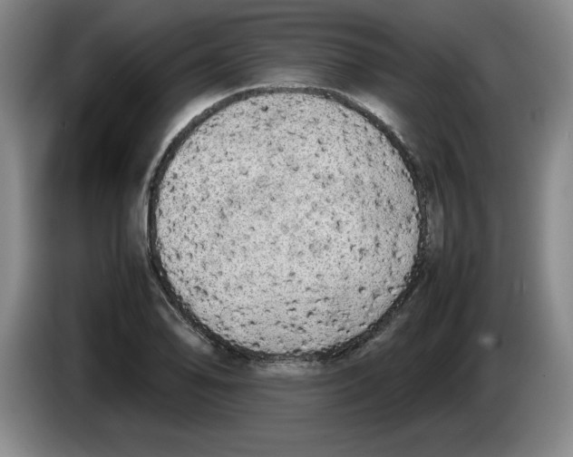 X0000083601078200703091736