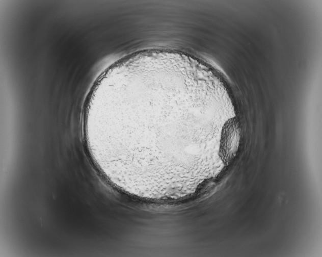 X0000083601079200703091736