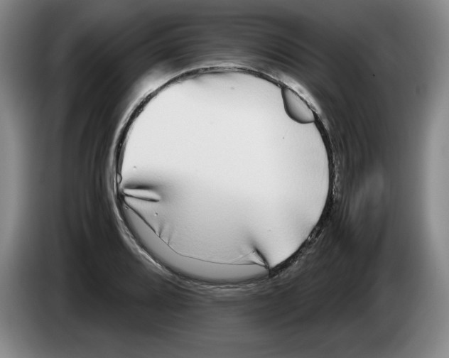 X0000083601080200703091736