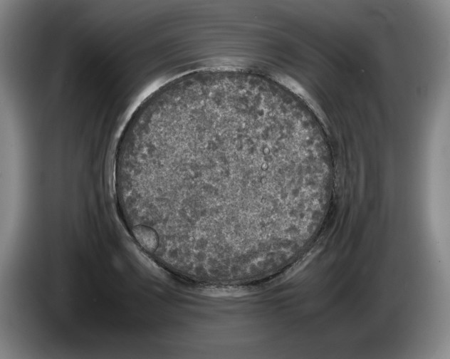 X0000083601083200703091736