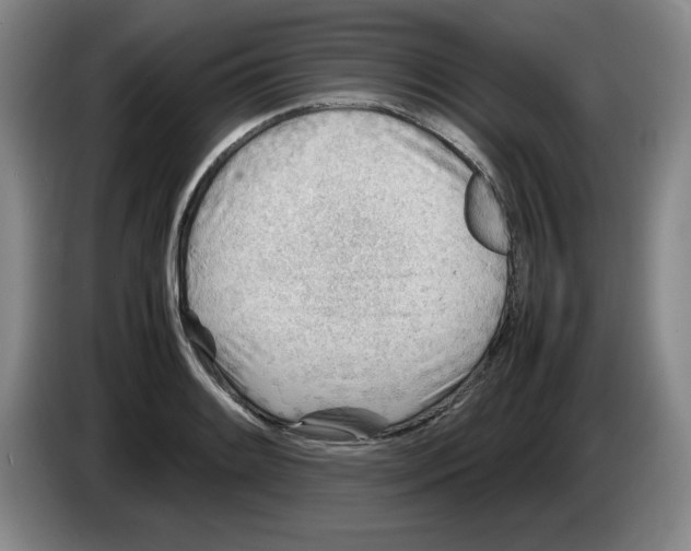 X0000083601084200703091736