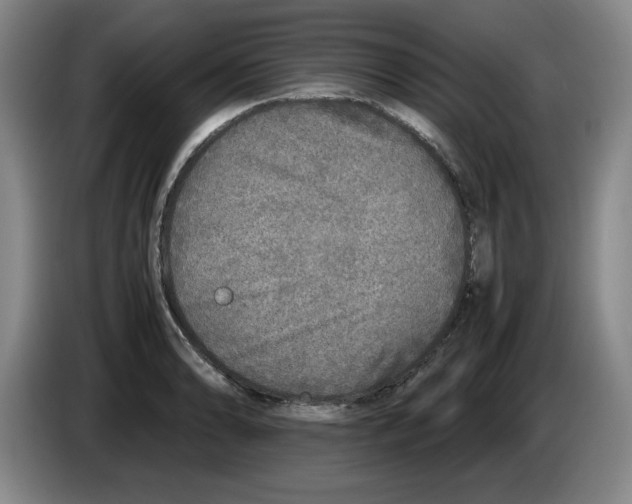 X0000083601086200703091736