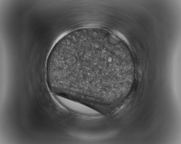 X0000083601087200703091736