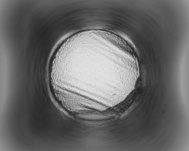 X0000083601088200703091736