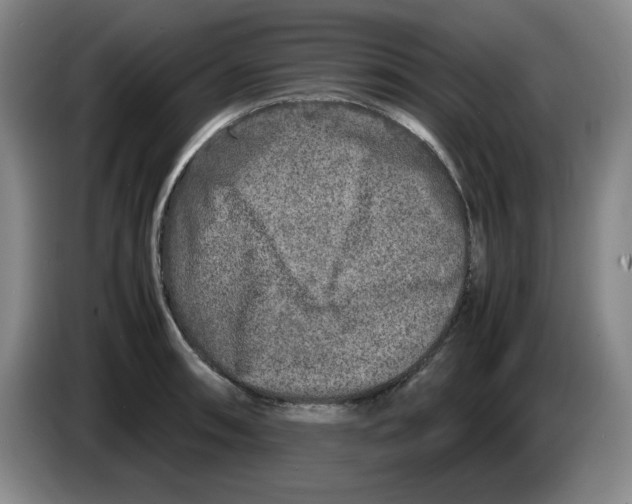 X0000083601090200703091736